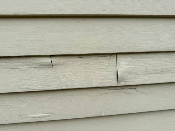 Best Aluminum Siding Installation  in Phillips, WI